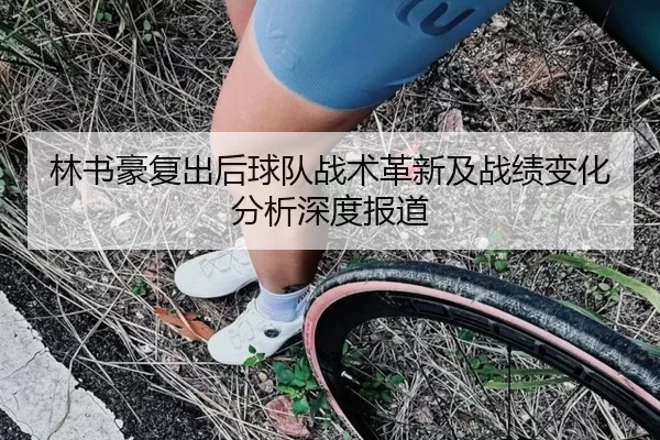 林书豪复出后球队战术革新及战绩变化分析深度报道