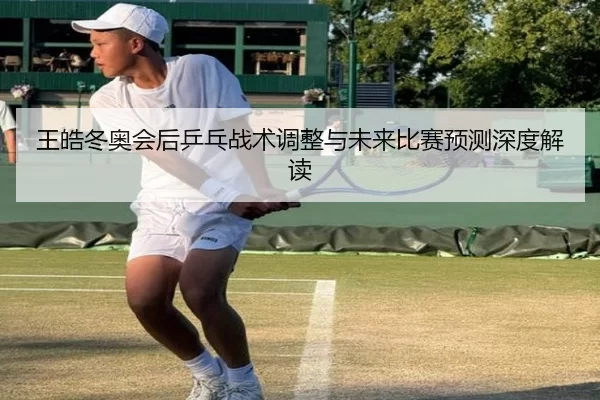 王皓冬奥会后乒乓战术调整与未来比赛预测深度解读