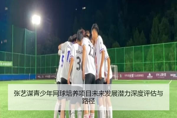 张艺谋青少年网球培养项目未来发展潜力深度评估与路径